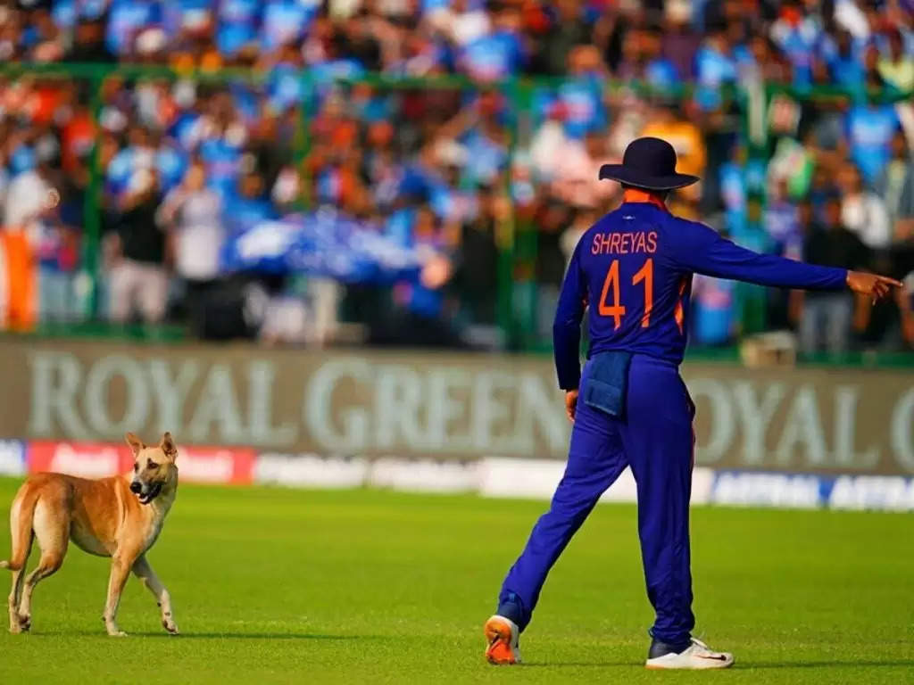 IND vs SA 3rd ODI: मैच के दौरान एक बार फिर हुई सुरक्षा में चूक, कुत्ते ने बीच मैदान आकर मचाई हलचल