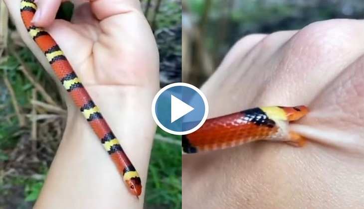 Snake Video: सांप को छेड़ना महंगा पड़ गया इस शख्स को, देखिए फिर क्या हुआ