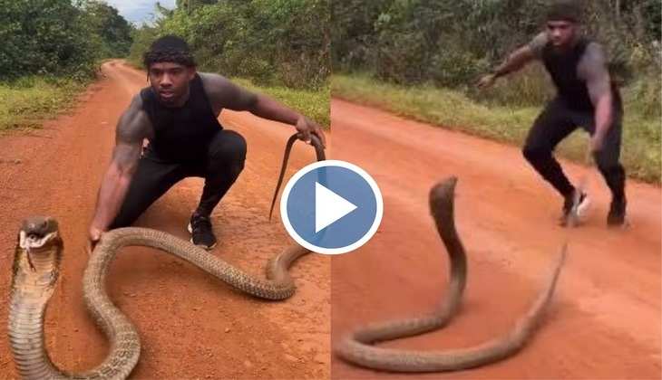 Snake Video: कोबरा से छेड़खानी कर रहा था ये शख्स, तभी सांप ने कर दिया ऐसा भयंकर हमला, देखिए वीडियो