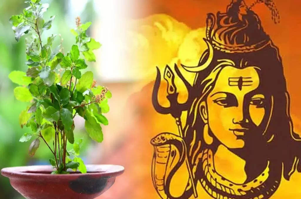 Lucky Vastu Plants: शिव जी की कृपा पाने के लिए घर में लगाएं ये 5 पौधे, हर काम में हाथ लगेगी सफलता