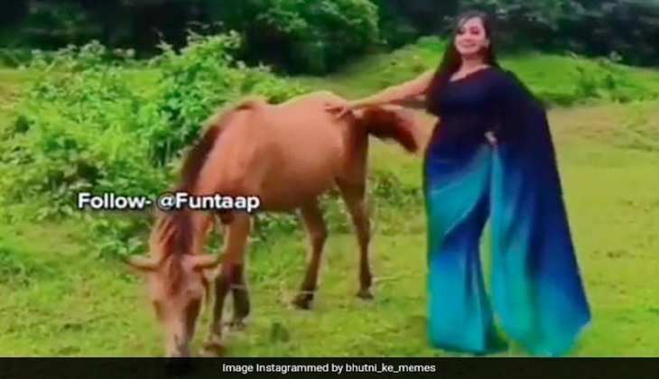 Horse video: रील बना रही लड़की के साथ घोड़े ने किया कुछ ऐसा कि निकल गई चीख,देखें वीडियो