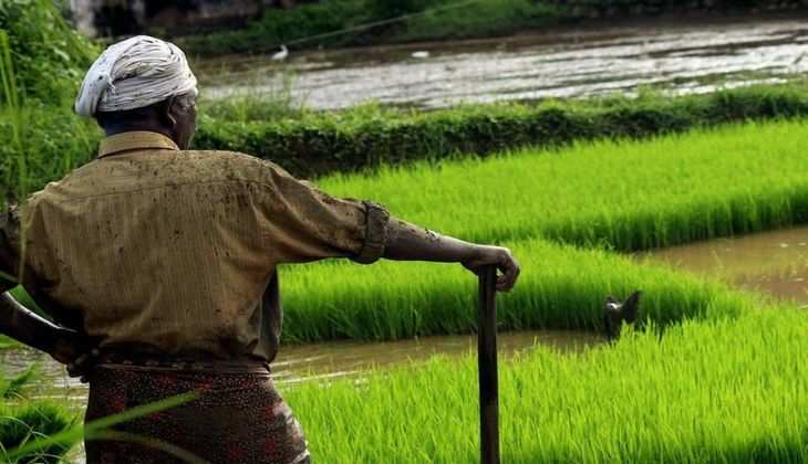 PM Kisan Khad Yojana: किसानों को खाद के लिए 11 हजार रुपए दे रही है सरकार, ऐसे करें अपना रजिस्ट्रेशन