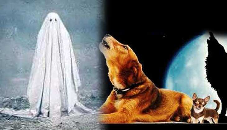 Hindu dharm facts: क्या वास्तव में कुत्ते का रोना होता है अपशकुन? जानिए सच्चाई...