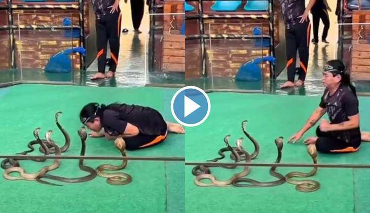 Snake Viral Video: एक नहीं पांच-पांच नागों के साथ खिलवाड़ कर रहा यह शख्स, लोग बोले 'खतरों का खिलाड़ी'