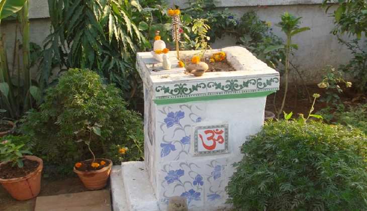 Vastu tips for tulsi in hindi: तुलसी का पौधा घर में इस स्थान पर रखने से होगा लाभ, जानिए...