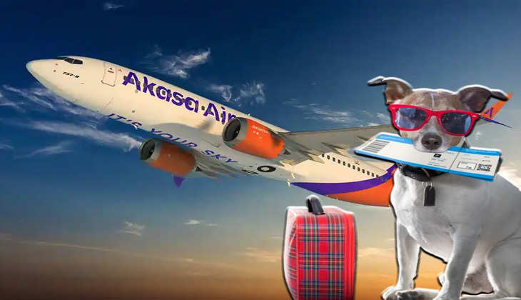 Akasa Air: अब हवाई जहाज में घूमेगा आपका टॉमी, पालतू जानवरों को शिफ्ट करना हुआ आसान, जानें पूरी डिटेल