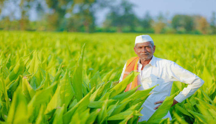 PM Kisan Samman Nidhi Yojna: इन किसानों को नहीं मिलेगा 11वीं क़िस्त का फायदा, उल्टा वसूली जाएगी धनराशि- जानें क्या है कारण