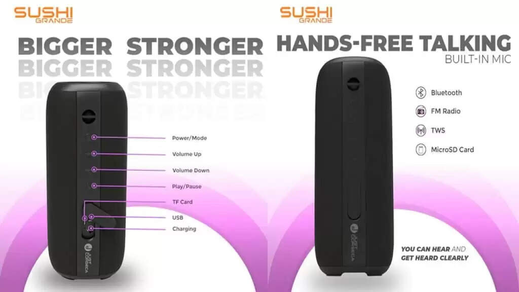 40W Portable Speaker: एडवांस्ड डिजिटल सिग्नल प्रोसेसर के साथ आ गया पोर्टेबल स्पीकर, जानिए खूबी