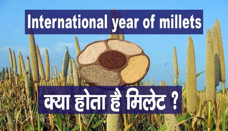 International Millets Year 2023: क्या होता है मिलेट? इसे खाने होते हैं गजब के फायदे