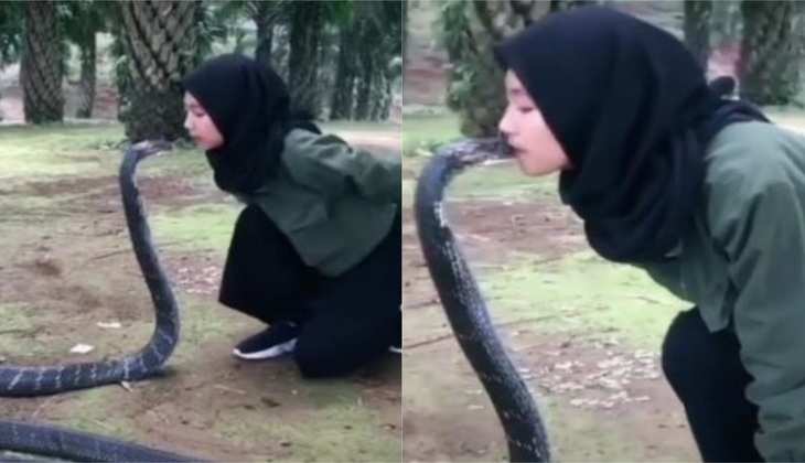 Snake Video: बाप रे...इस लड़की ने कोबरा सांप को कर लिया 'Kiss', बच्चे न देखें वीडियो