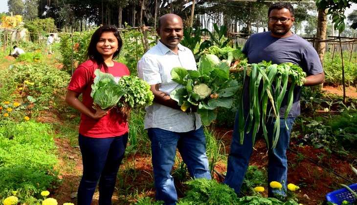 FPO Organic Hub: उत्तर प्रदेश को मिली बड़ी सफलता, पीलीभीत में वोकल फॉर लोकल का दिखा असर, जानें किसानों को कैसे मिलेगा फायदा