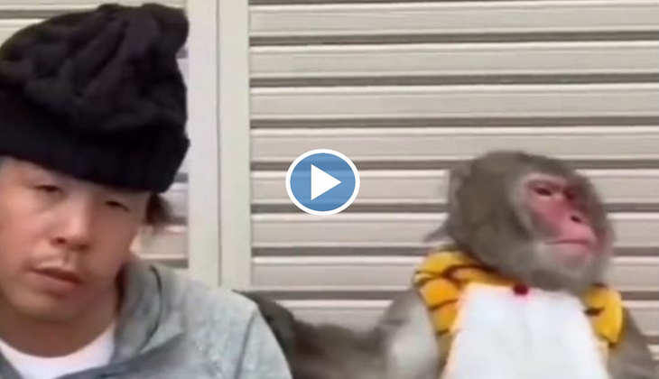 Viral Video: बंदे को देख बंदर ने दिया गजब का रिएक्शन, वीडियो देख पक्का छूट जाएगी हंसी!