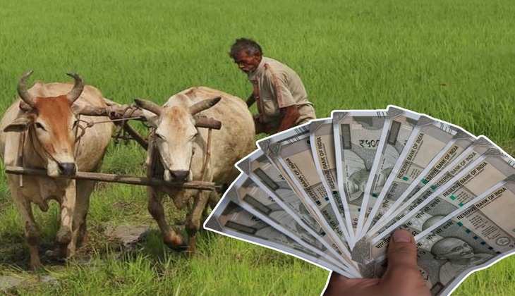 Business Idea: अगर आप किसान हैं तो करें इस चकाचक चीज की खेती, होगी एक नंबर की कमाई!
