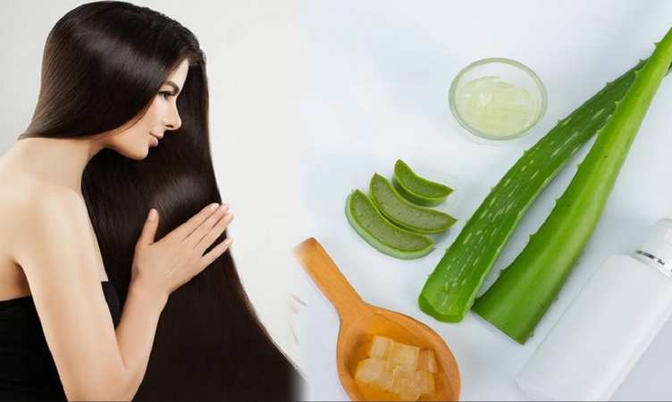 Hair Care Tips: शैंपू में एलोवेरा जेल मिलाकर लगाएं, बालों को मिलेंगे ये 5 फायदे