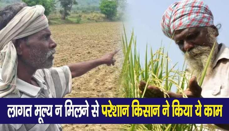 Farmer Protest: इस राज्य में नहीं मिल रही थी सही कीमत, गुस्साए किसान ने नाले में बहा दिया कई बोरी लहसुन