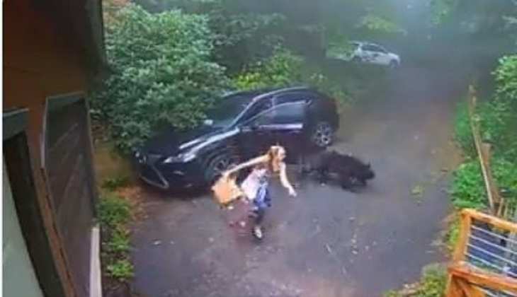 कार में बैठने जा रही थी महिला तभी अंदर से निकल पड़ा भालू, वीडियो देखकर निकल जाएगी चीख