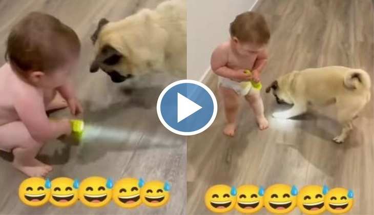 Dog Video: जरा से बच्चे ने डॉगी को डाल दिया चकरघिन्नी में, वीडियो देख नहीं रुकेगी हंसी