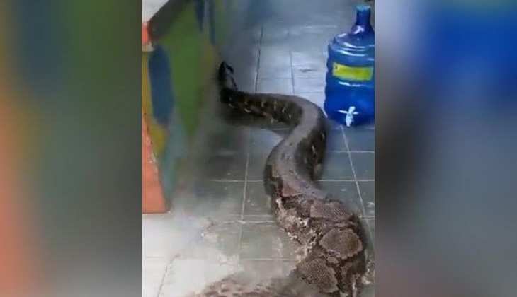 Anaconda Viral Video: घर में घुसा एनाकोंडा, बालकनी में घूमते हुए वीडियो वायरल
