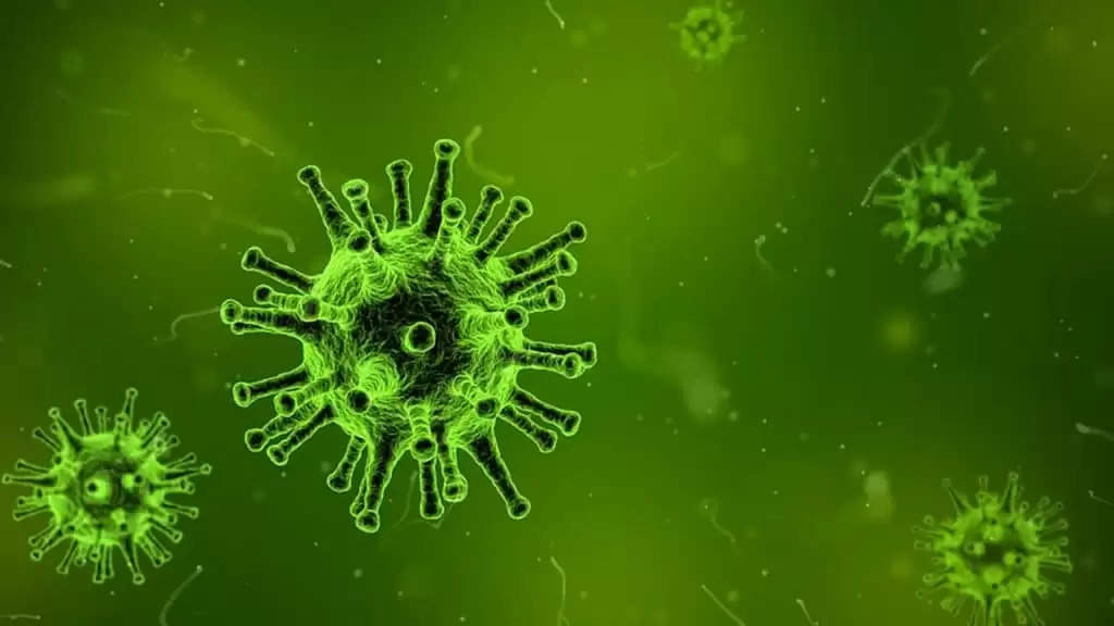 Marburg Virus: कोरोना से भी ज्यादा खतरनाक है ये वायरस! संक्रमण से अब तक 9 लोगों की मौत