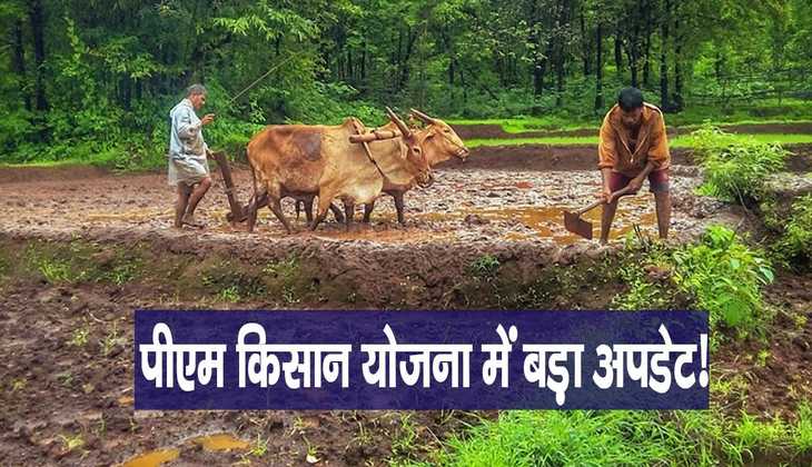 PM Kisan Samman Nidhi Yojna: पीएम किसान योजना में बड़ा अपडेट! जान लीजिए किस दिन आ सकती है 13वीं किस्त