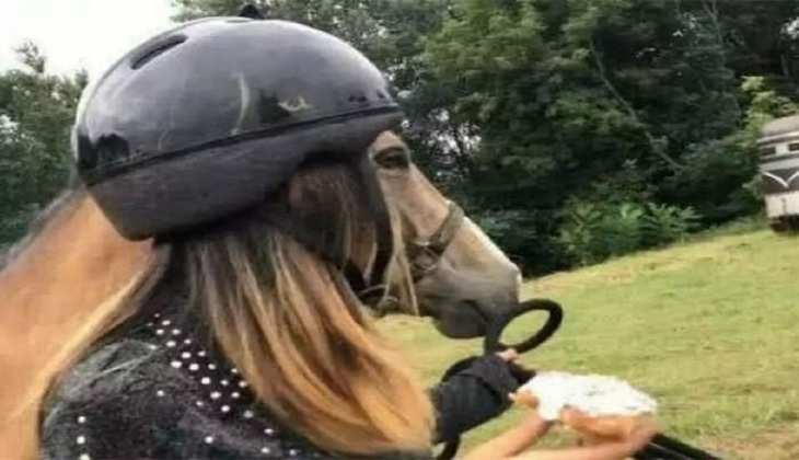 Optical Illusion Viral: चेहरा घोड़े का और हाथ इंसान के,अगर आप ने पता लगा ली इस फोटो की सच्चाई तो आप हैं जीनियस