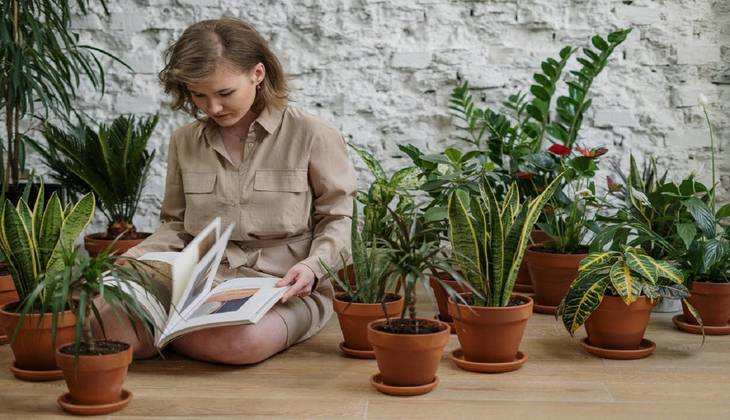 Lucky Plants For Home: घर के आंगन में ये 2 चमत्कारी पौधे लगाने मात्र से बदल जाएंगे आपके दिन, दूर हो जाएंगी परेशानियां