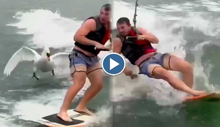 Viral Video: हाय रे! पानी में स्केटिंग कर रहे इस शख्स पर हंस ने कर दिया हमला, देखिए वीडियो