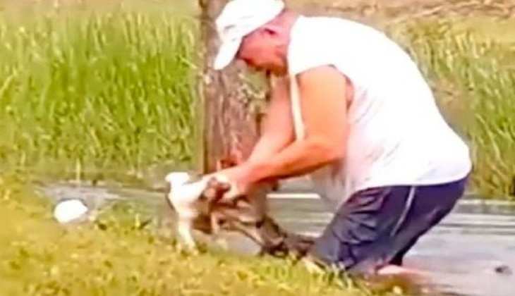 Viral video: बुजुर्ग ने मगरमच्छ का जबड़ा खोलकर कुत्ते की बचाई जान, लोग हैरान