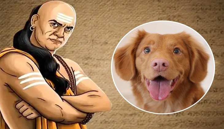 Chanakya Niti: जीवन में होना चाहते हैं सफल, तो कुत्ते के व्यवहार से सीखें ये 4 बातें