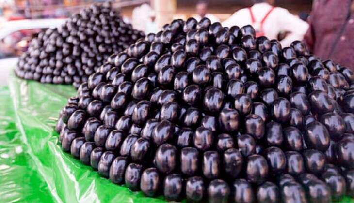 Benefits of Jamun Vinegar : स्किन से लेकर आंखों तक, जामुन के सिरके के हैं 5 फायदे