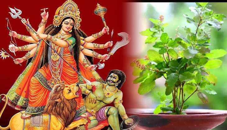 Shardiya Navratri 2022: नवरात्रों में घर लाएं ये चमत्कारी पौधे, लगाते ही कृपा बरसाएंगी देवी मैय्या