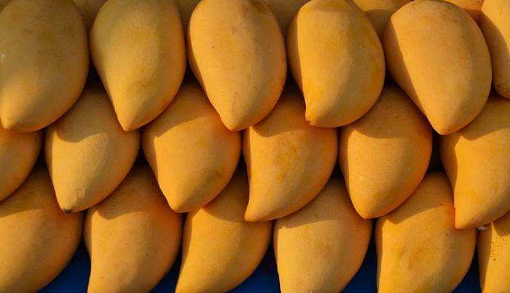 Easy Tricks: झट से लगाएं पता आम खट्टा है या मीठा फिर घर लेकर आएं मीठे मीठे Fresh Mango