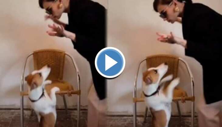 Dog Viral Video: कुत्ते ने पंजाबी गाने पर कूद-कूद कर किया डांस, वीडियो देख लोग बोले 'वाह बेटे मौज कर दी'