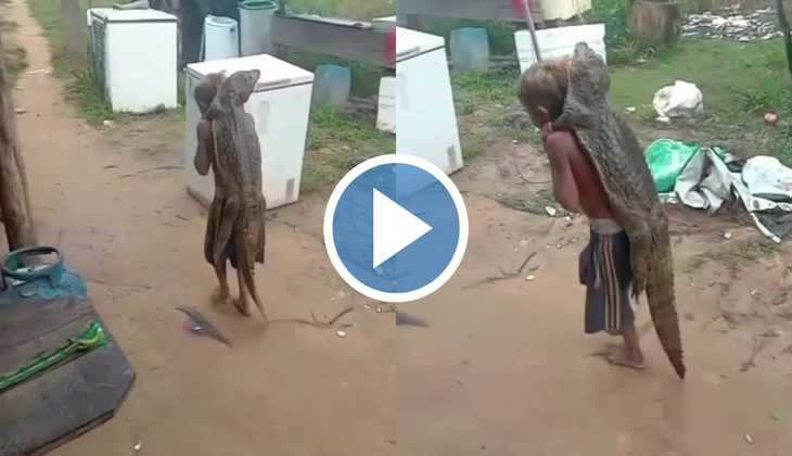 Crocodile Viral Video: अरे गज़ब! बच्चे ने अपने कंधे पर उठा लिया मगरमच्छ, वीडियो देख खड़े हो जाएंगे कान