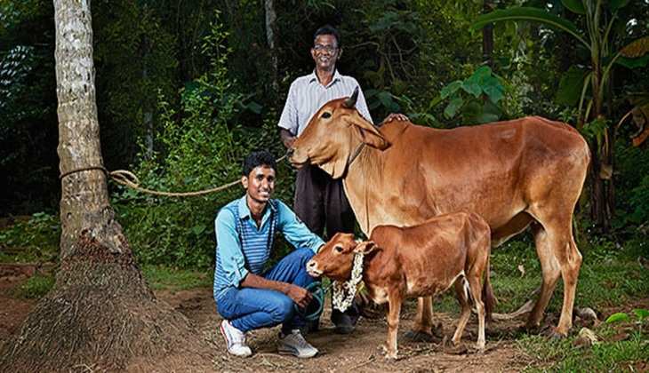 Pashu Kisan Credit Card: सरकार दे रही किसानों को पशुपालन करने के लिए 1.80 लाख रुपये का लोन,जानें कैसे करें आवेदन