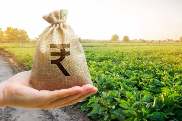 बड़ी खबर: खाद खरीदने के लिए किसानों को 11 हजार रुपए की मदद दे रही है सरकार, तुरंत करें आवेदन और उठाएं योजना का लाभ