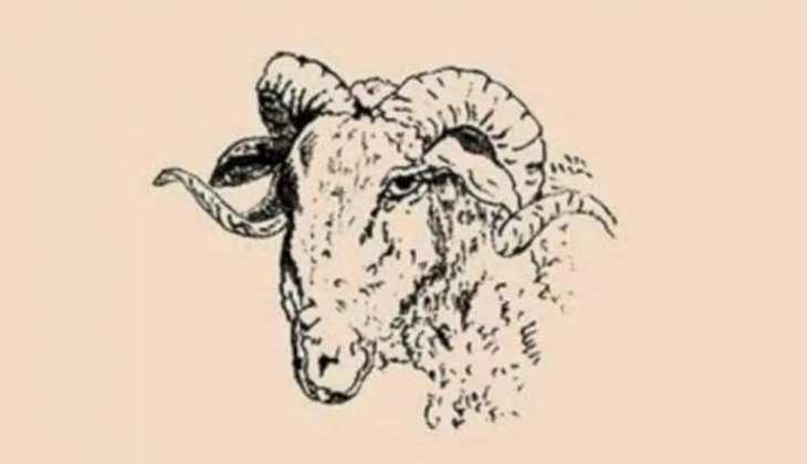 Optical Illusion: इस तस्वीर में छिपा है भेड़ को चराने वाला चरवाहा,20 सेकेंड में ढूंढ़ने वाले को समझा जाएगा जीनियस