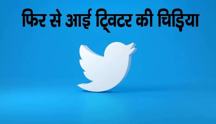 मस्क ने फिर बदला Twitter का Logo, डॉगी की जगह नीली चिड़िया की वापसी