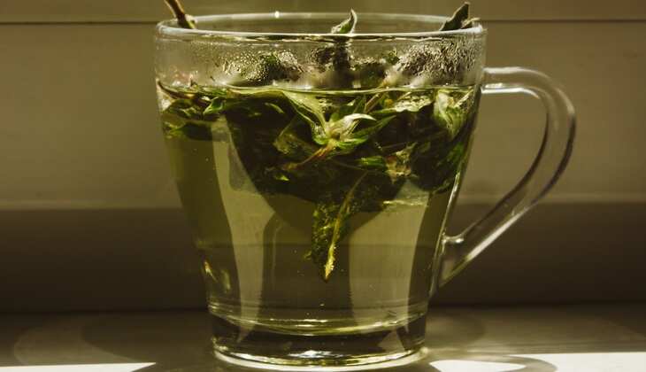 भूलकर भी दिन के समय न पिएं Green Tea, फायदे की जगह होगा नुकसान