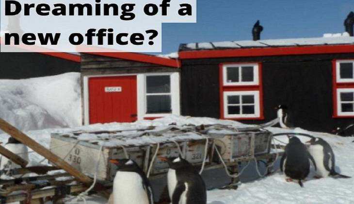 Antarctica Job Offer : विदेश जाकर करना चाहते हैं नौकरी तो जल्द करें अप्लाई