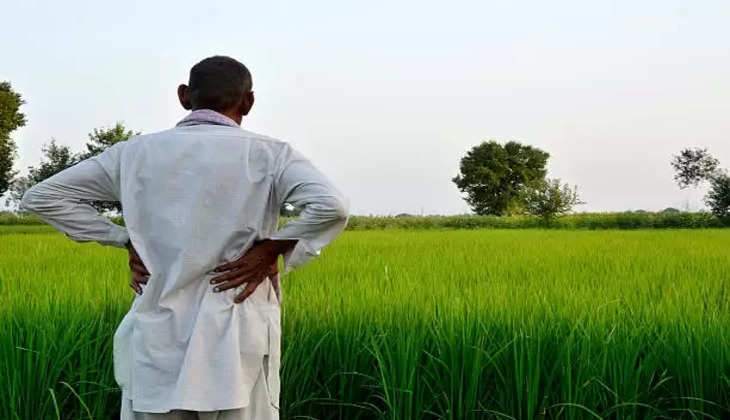 PM Kisan Samman Nidhi Yojna: बिहार के 60 लाख किसानों का नहीं हुआ E-KYC, अब करना होगा भुगतान
