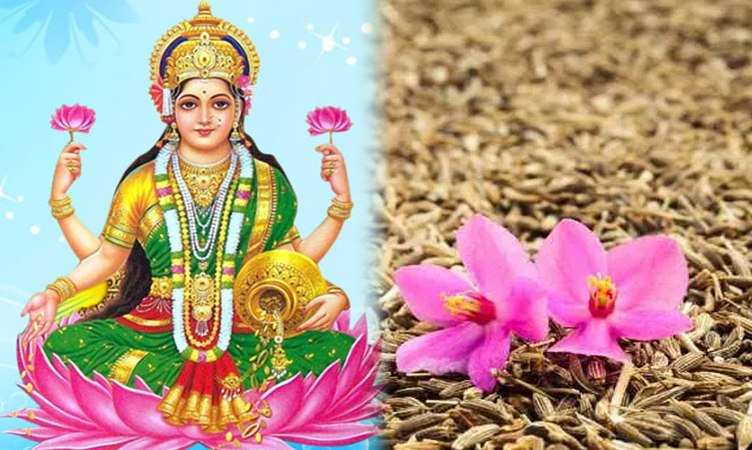 Vastu tips for goddess laxmi: जीरे का ये अनोखा उपाय दूर कर देगा आपकी सारी परेशानियां….