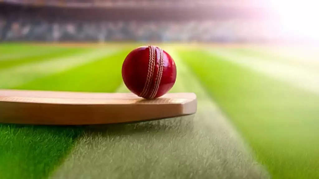 Cricket News: क्या बल्ले के अंदर लगी होती है ये चीज? इसका सच जान उड़ जाएंगे आपके होश