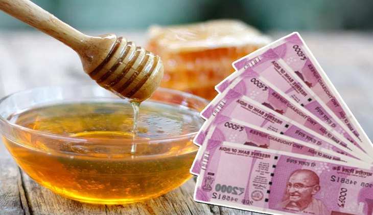 Honey Jam Business: नौकरी से हो गए हैं परेशान तो शुरू करें शहद का ये बिजनेस,घर बैठे कमा सकेंगे लाखों रुपये