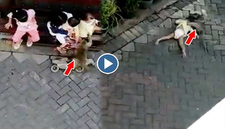 Viral Video: हे भगवान! बच्चे को घसीटते हुए उठा ले जा रहा था बंदर, वीडियो देख लोग बोेले-'ये  अपहरण करना चाहता था'