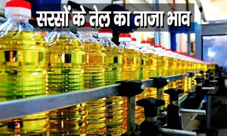 Mustard Oil Price Update: सरसों के तेल के फायदे जानकर रह जाएंगे हैरान, खरीदने से पहले जानें आज का भाव