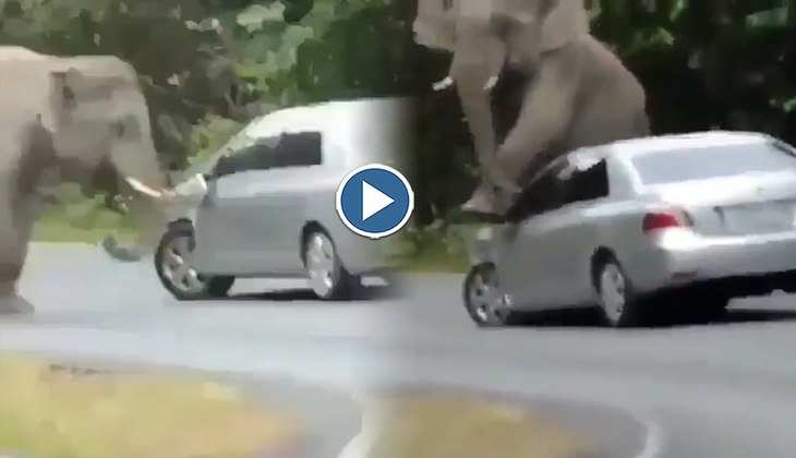 Viral Video: बाप रे! हाथी को चढ़ा कार के ऊपर चढ़कर बैठने का चस्का, कार चालक के छूटे पसीने, देखिए वीडियो