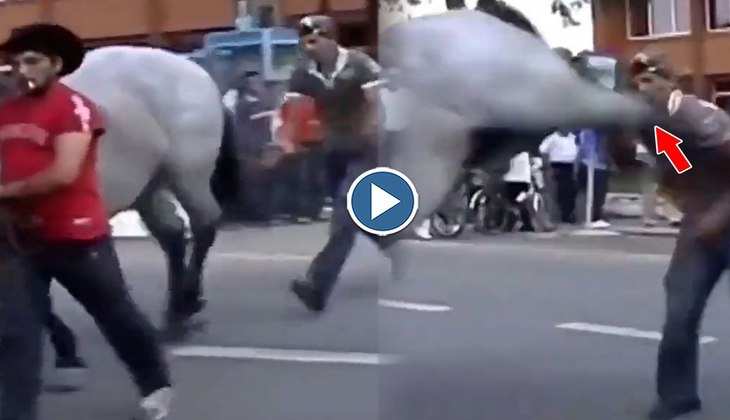 Viral Video: घोड़े की पूंछ से छेड़छाड़ कर रहा था ये लड़का, मिला जबरदस्त रिटर्न गिफ्ट! वीडियो लोग बोले-'जैसे को तैसा'