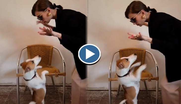 Dog Video: डॉगी ने 'ढोल जगीरो दा' गाने पर मालकिन के साथ किया बहुत ही जबरदस्त डांस, देखिए वीडियो