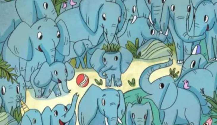Optical Illusion: इन हाथियों के बीच फंसा हुआ हैं एक गैंडा,ढूंढ़कर बताने में 99 प्रतिशत लोग हुए फेल